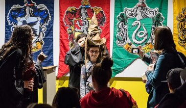 Las casas de Harry Potter delatan el espíritu emprendedor en el mundo real, según un estudio