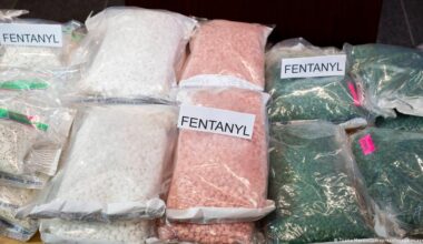 los peligros del fentanilo – DW – 17/12/2025