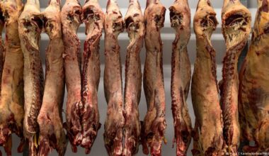 China anuncia cuotas y aranceles adicionales al vacuno – DW – 31/12/2025