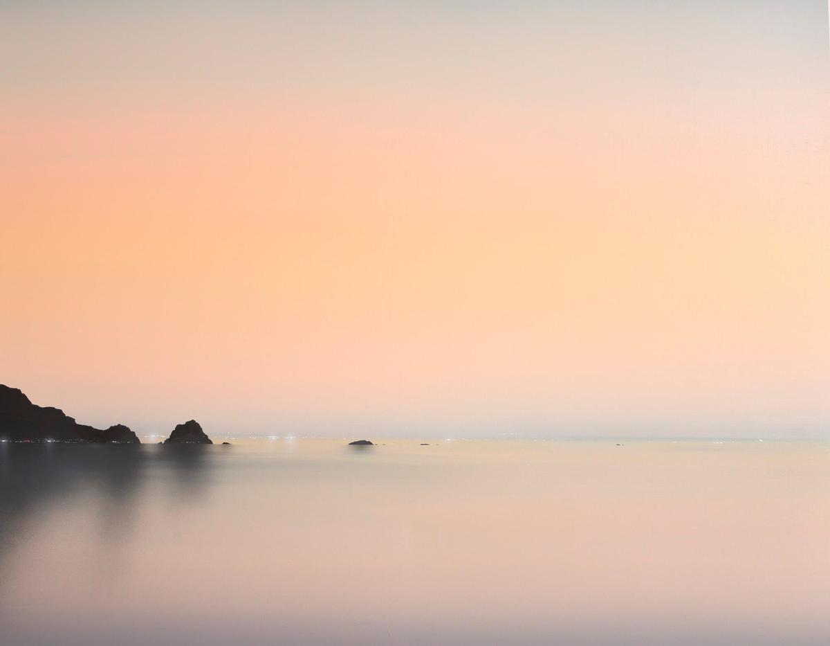 La obra de Diego Benéitez adquirida.