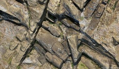 Modelo 3D podrían dar respuesta a enigma de Isla de Pascua – DW – 01/12/2025