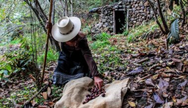 Una de las imágenes del calendario de 2026 de El Sauzal realizado por Juanra Álvarez