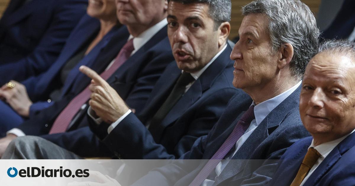 Una acusación particular de la dana recurre la declaración telemática de Feijóo y pide que acuda a Catarroja