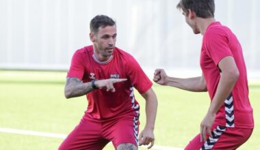 Un perico con nido en Bizkaia