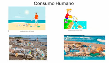 Ríos, grandes transportadores de plástico desechado