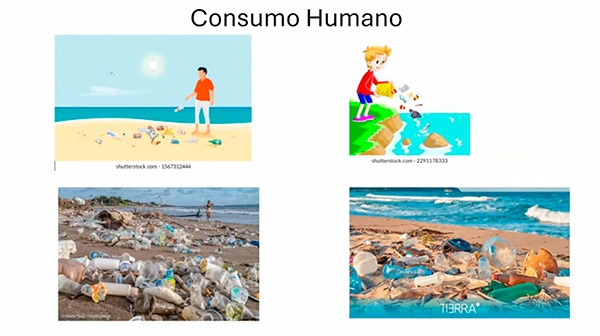 Ríos, grandes transportadores de plástico desechado