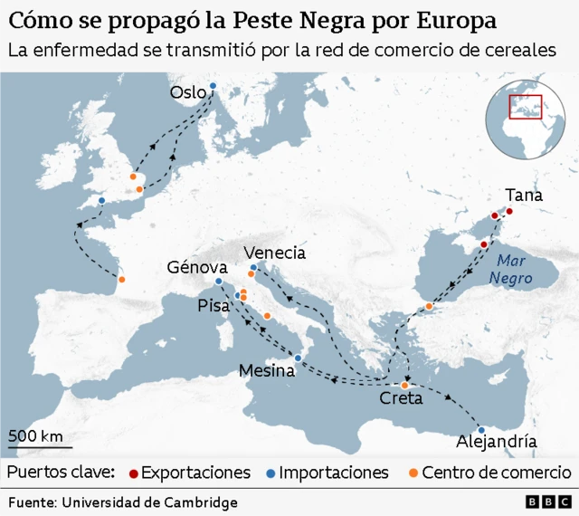 Mapa titulado "Cómo se propagó la peste negra por Europa", que muestra la transmisión de la enfermedad a través de la red comercial de cereales. El mapa abarca Europa, el Mediterráneo y el mar Negro. Se marcan los principales puertos: puntos rojos para los puertos de exportación (por ejemplo, Tana, Alejandría), puntos azules para los puertos de importación (por ejemplo, Oslo, Mesina) y puntos anaranjados para los centros comerciales (por ejemplo, Venecia, Génova, Pisa, Creta). Las flechas negras discontinuas indican la dirección de la propagación de la peste: comenzando en Tana, en el mar Negro, dirigiéndose hacia el suroeste hasta Constantinopla y Creta, luego hacia el oeste hasta Mesina en Sicilia, hacia el norte hasta Pisa y Génova, y más al norte hasta Venecia. Desde Italia, las rutas se extienden hacia el noroeste hasta Francia y luego hacia el norte hasta Oslo. Otra ruta va desde Alejandría en Egipto hasta Creta y luego se integra en la red comercial del Mediterráneo. Un pequeño mapa insertado destaca la región dentro de Europa. Fuente: Universidad de Cambridge.
