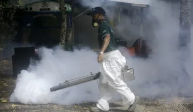 Aumentan casos y muertes por dengue en Panamá: cifras alarmantes