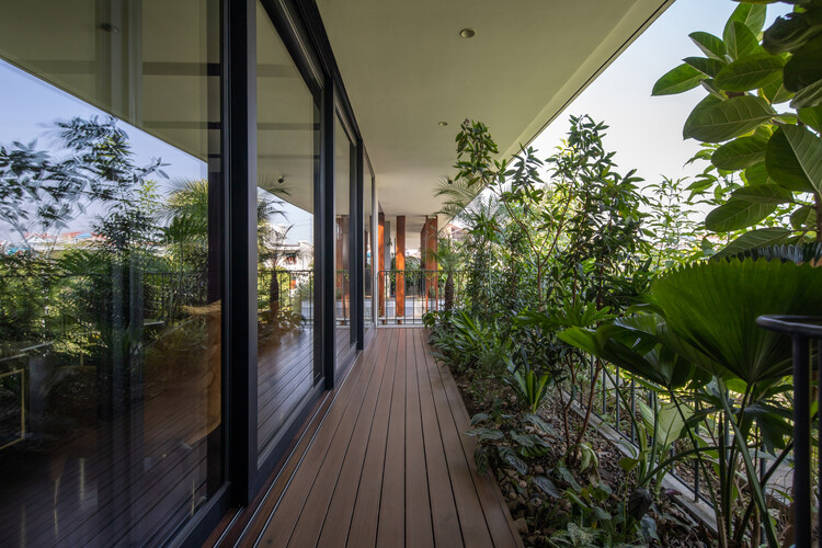 Casa Tropical 2 / ARO studio - Imagen 18 de 24