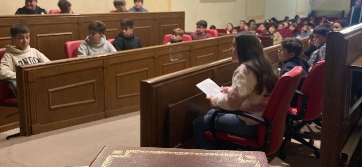 Constitución Española Actividad Escolares