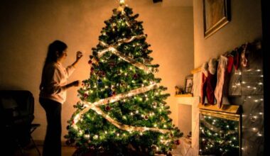 ¿Árbol natural o artificial? Consejos para unas Navidades verdes