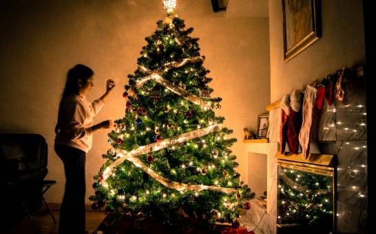 ¿Árbol natural o artificial? Consejos para unas Navidades verdes
