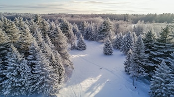El predominio de tonos neutros