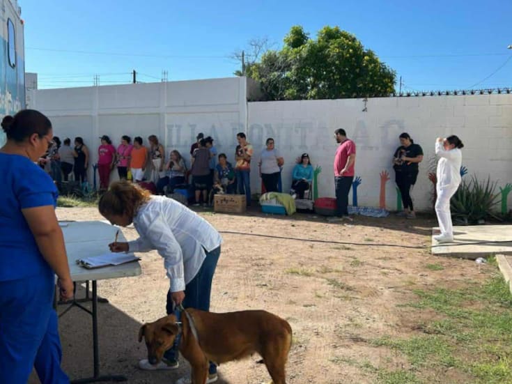 Con nuevo quirofano movil buscan impulsar esterilizaciones en Cajeme 