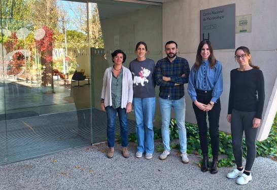 Mutaciones en un norovirus explican el aumento de brotes de gastroenteritis