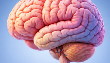 Un estudio revela cómo una lesión cerebral leve puede aumentar el riesgo de Alzheimer