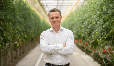 La especialización en tomate cherry premium, un modelo de éxito