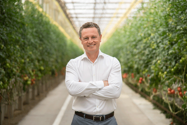 La especialización en tomate cherry premium, un modelo de éxito