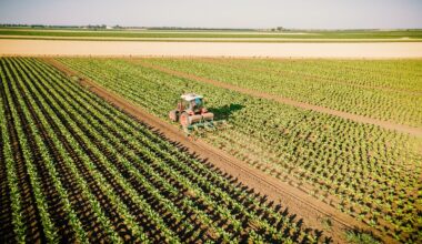 Ni jamón ibérico ni aceite de oliva, Dinamarca prepara un plan demoledor para el producto más exportado por Extremadura