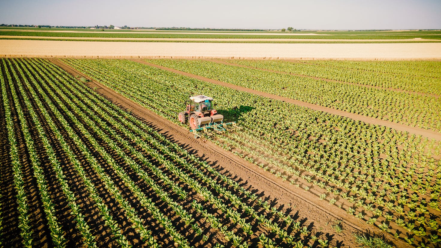 Ni jamón ibérico ni aceite de oliva, Dinamarca prepara un plan demoledor para el producto más exportado por Extremadura