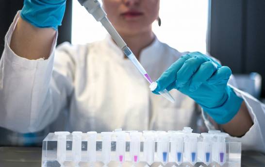 Hallan un mecanismo clave que impulsa la metástasis en el cáncer