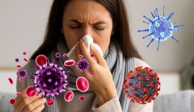 esto es lo que se sabe