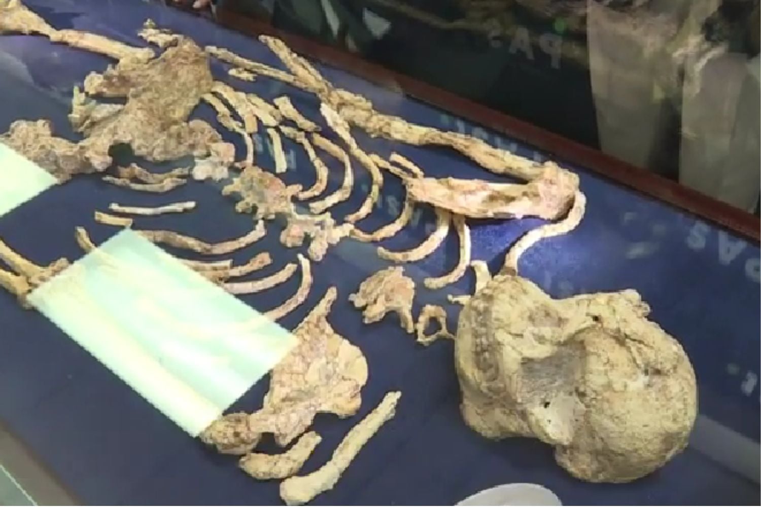 Diseño Sin Título 2025 12 26t114305.647