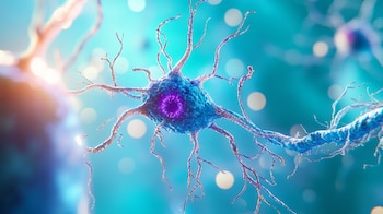 La esclerosis múltiple afecta a