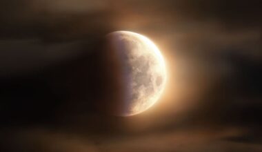 La fiebre de los nuevos cazadores de estrellas