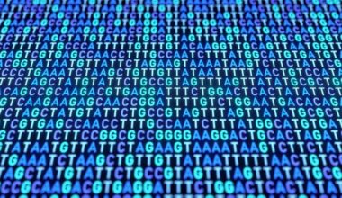 Encuentran se&ntilde;ales gen&eacute;ticas comunes en 14 trastornos psiqui&aacute;tricos distintos