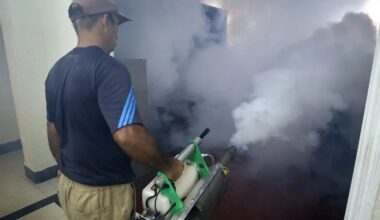 OPS advierte que la crisis en Cuba limita la lucha contra epidemia de chikunguña