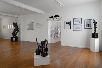 La galería porteña abrirá sus