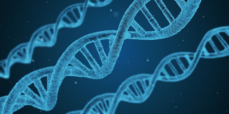 Un estudio detectó un gen que podría mejorar la atención y reducir el “ruido” cerebral en personas con trastornos psicológicos