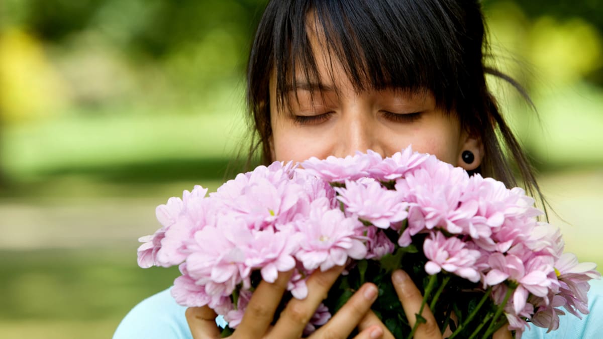 Laura López-Mascaraque, investigadora del CSIC: "El olfato es la Cenicienta de los sentidos" | Ciencia y tecnología