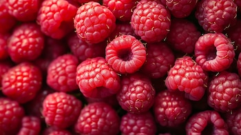 La empresaria tecnológica es señalada