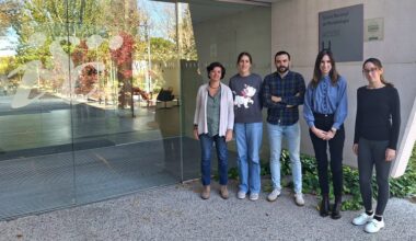 Revelan c&oacute;mo act&uacute;a una nueva variante del virus que ha aumentado los brotes de gastroenteritis en el mundo