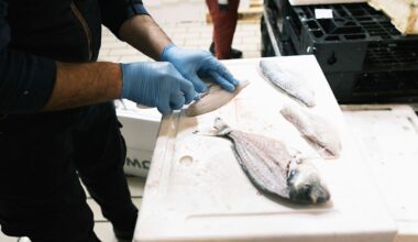 ¿Comes mucho pescado? Así puedes saber si tienes exceso de mercurio en el cuerpo | ¿Cómo comes?