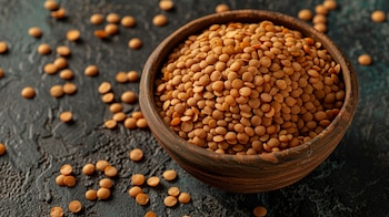 Investigadores de la Universitat Rovira