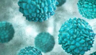 una variante se adaptó a los humanos y está provocando un brote de gastroenteritis – La 100