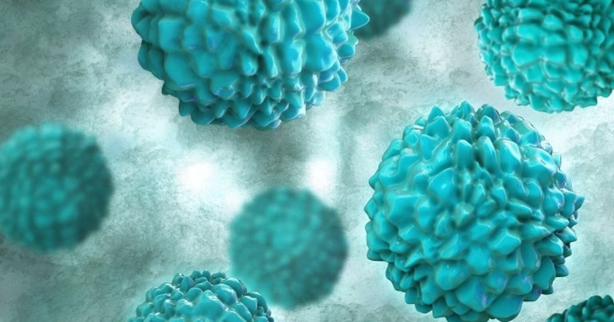 una variante se adaptó a los humanos y está provocando un brote de gastroenteritis – La 100