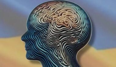 Capas ocultas en el centro de la memoria del cerebro