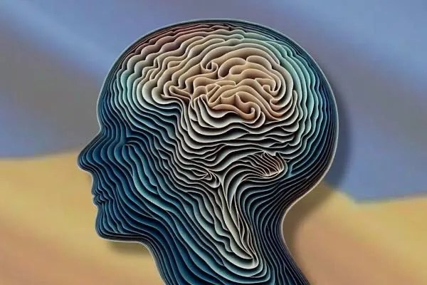 Capas ocultas en el centro de la memoria del cerebro