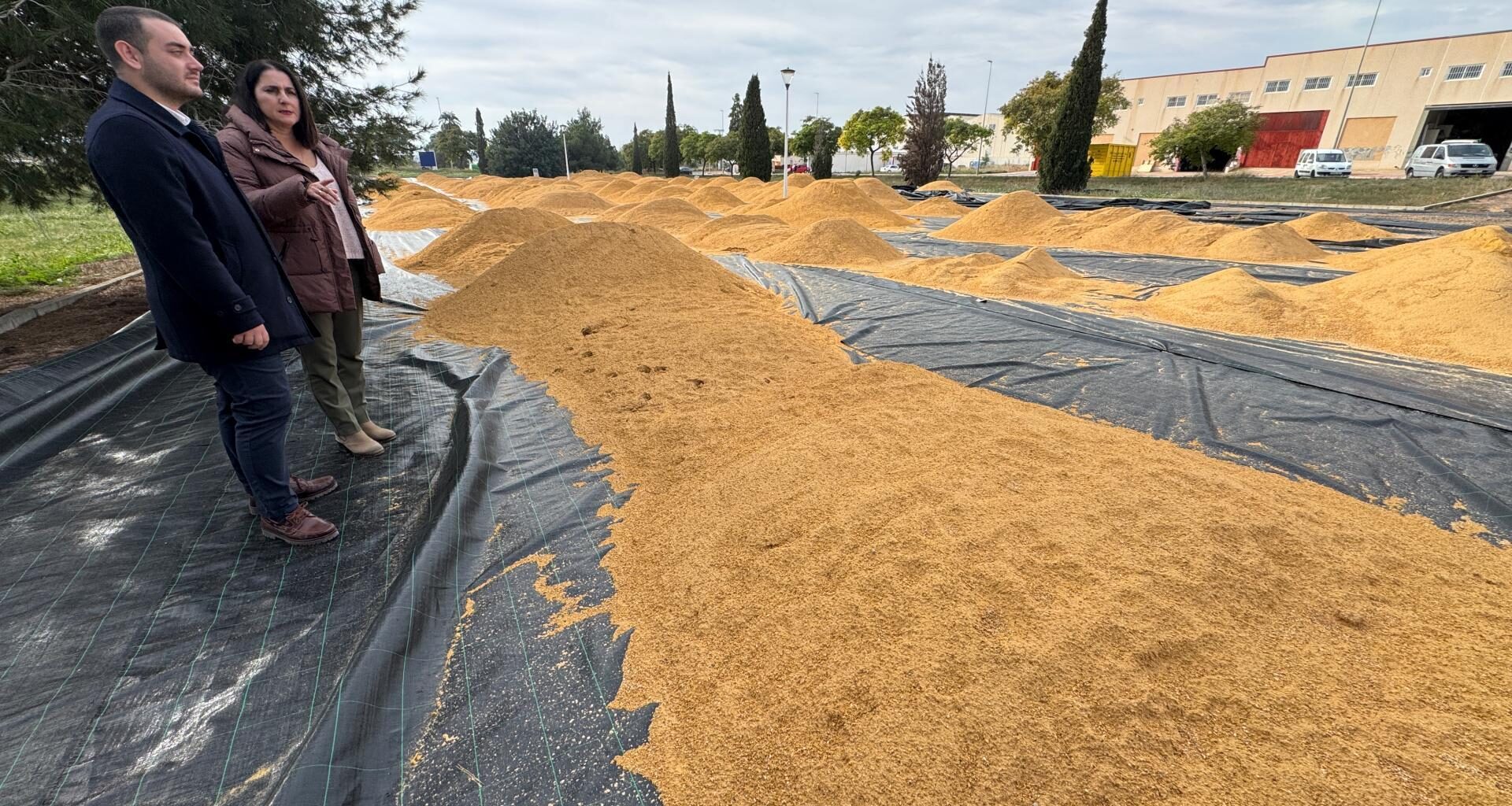 El Ayuntamiento invierte casi 300.000 euros en mejoras en el polígono industrial gracias a una subvención del IVACE