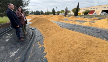 El Ayuntamiento invierte casi 300.000 euros en mejoras en el polígono industrial gracias a una subvención del IVACE