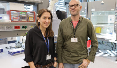 Un análisis de sangre para prever el riesgo de ictus isquémico según las grasas de la dieta