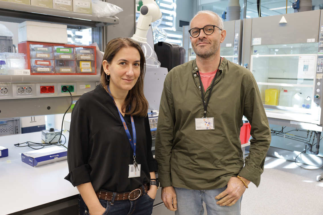 Un análisis de sangre para prever el riesgo de ictus isquémico según las grasas de la dieta