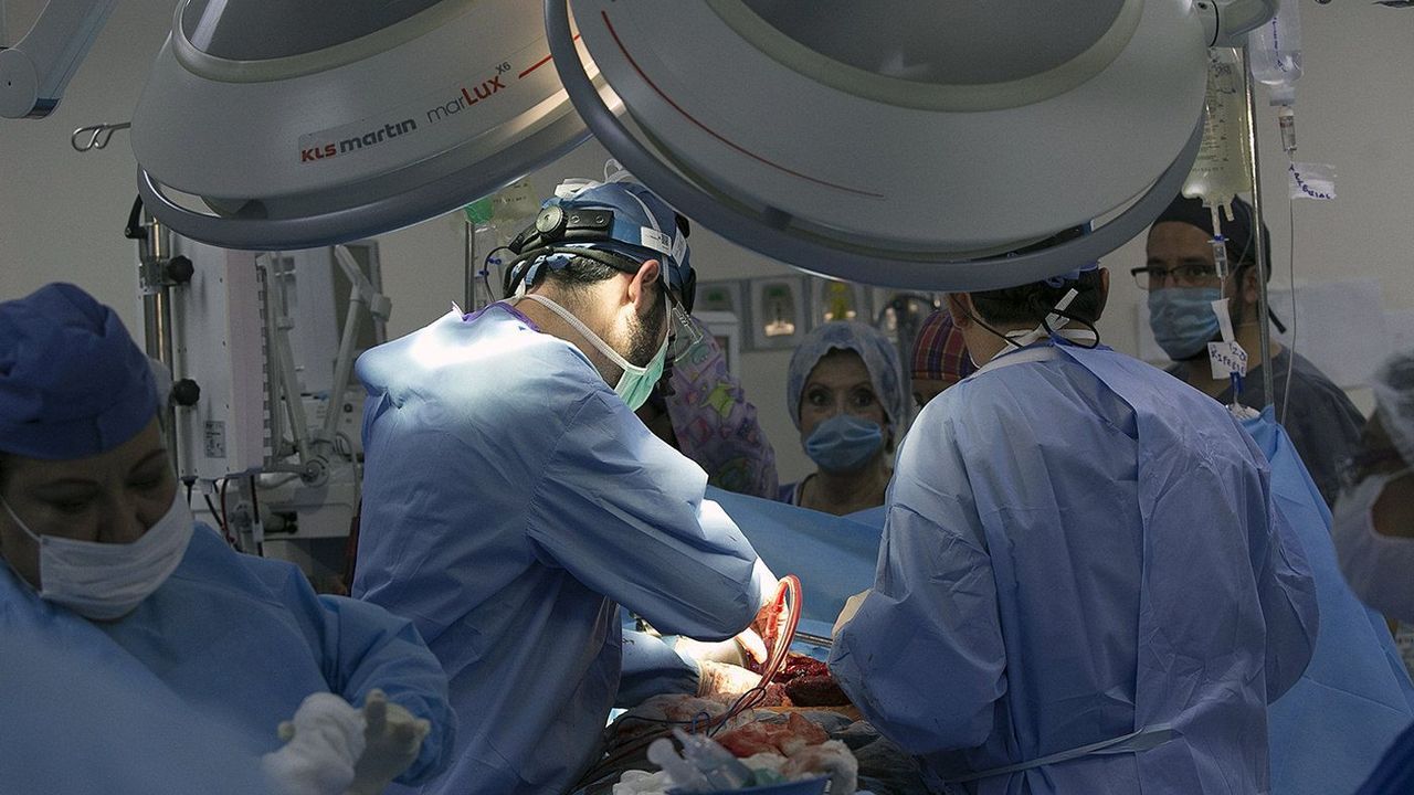 Un hombre muere de rabia tras recibir un riñón infectado con el virus - La Voz de Galicia