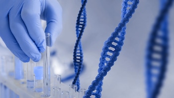 El ADN basura contiene interruptores