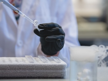 Los datos generados ya entrenan