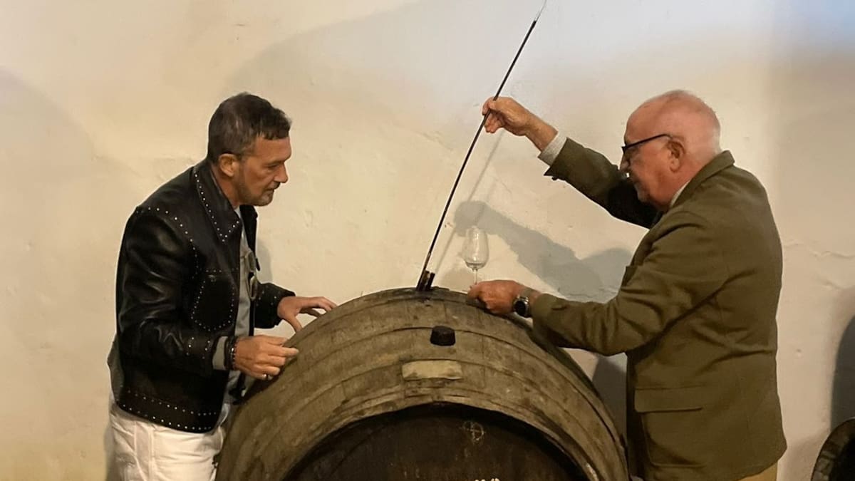 ¿A qué sabe el vino de 1728 que ha hecho llorar de emoción a Antonio Banderas? | Gastro